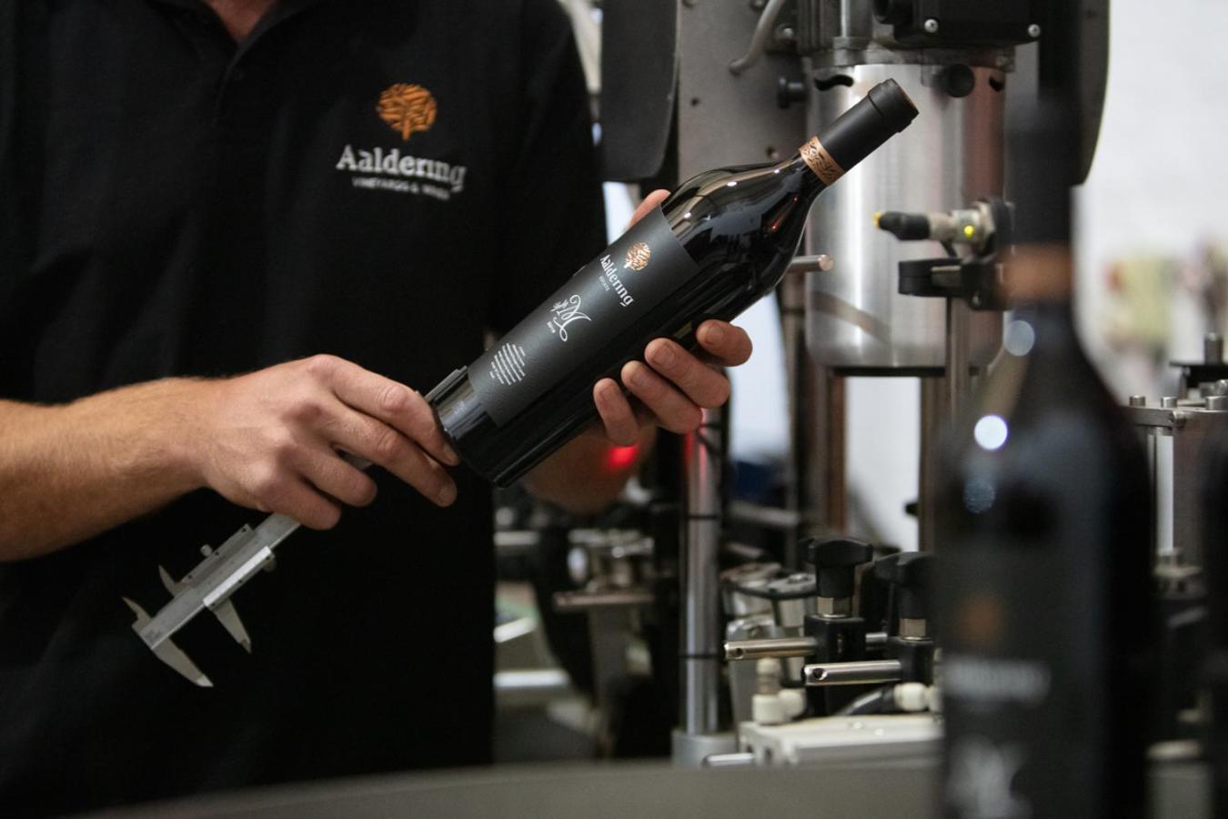 Aaldering Luxury Lodges Stellenbosch Ngoại thất bức ảnh